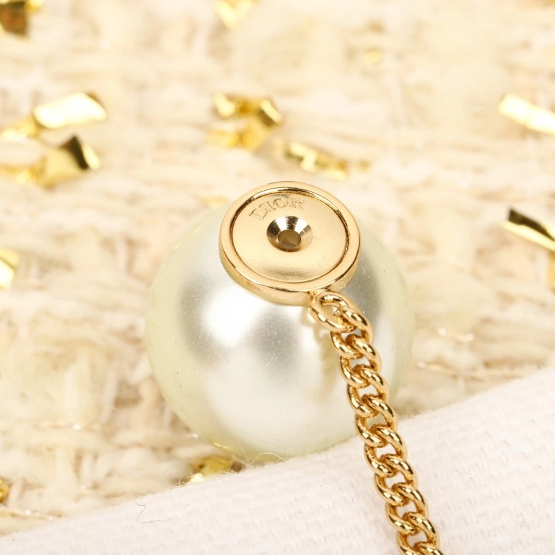 Packable Christian Dior Earrings 232706