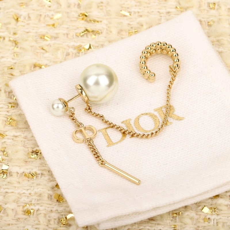 Packable Christian Dior Earrings 232706