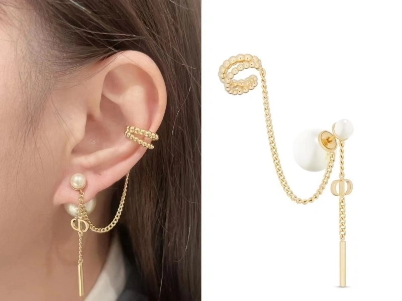 Packable Christian Dior Earrings 232706