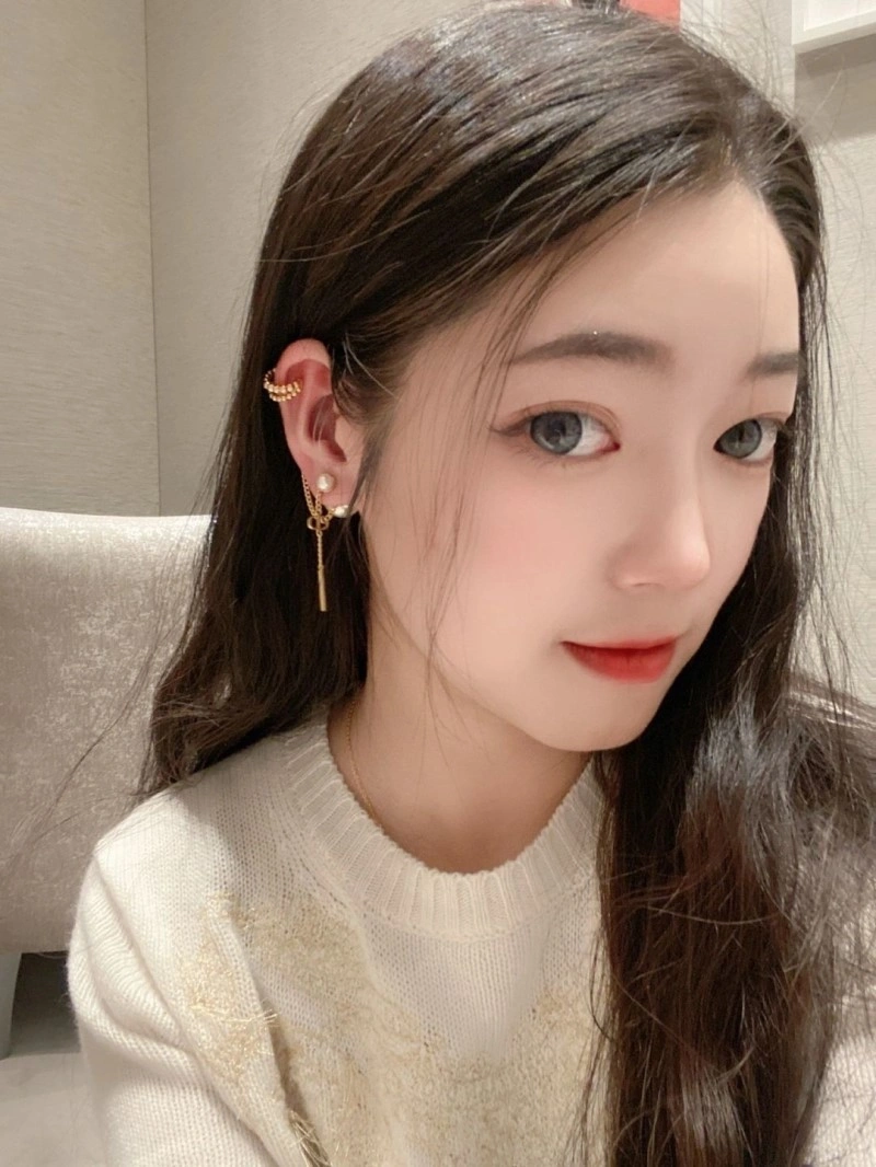 Packable Christian Dior Earrings 232706