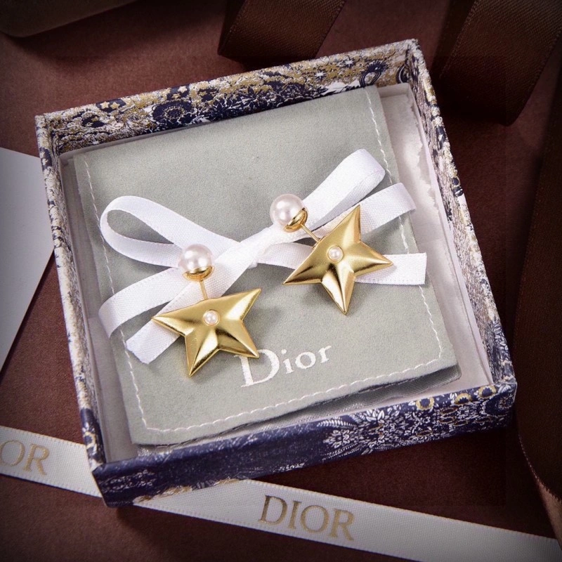 Neat Christian Dior Earrings 232716