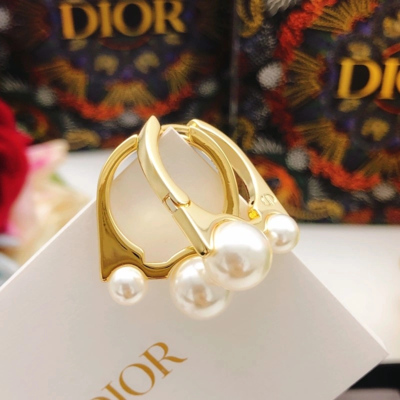 Seasonal Christian Dior Earrings 232692