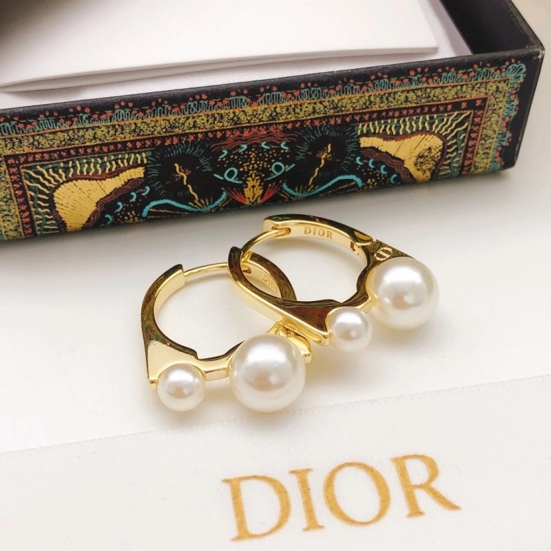 Seasonal Christian Dior Earrings 232692