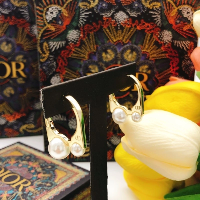 Seasonal Christian Dior Earrings 232692
