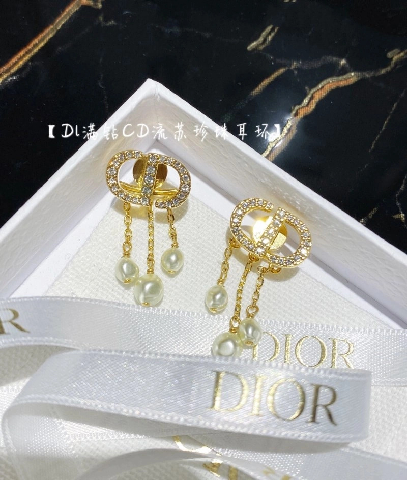 Durable Christian Dior Earrings 232714