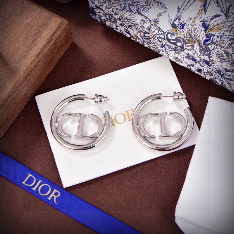 Christian Dior Earrings Sleek 232680