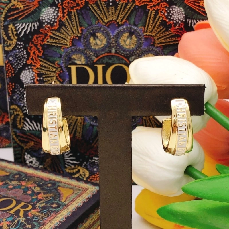 Reliable Christian Dior Earrings 232731