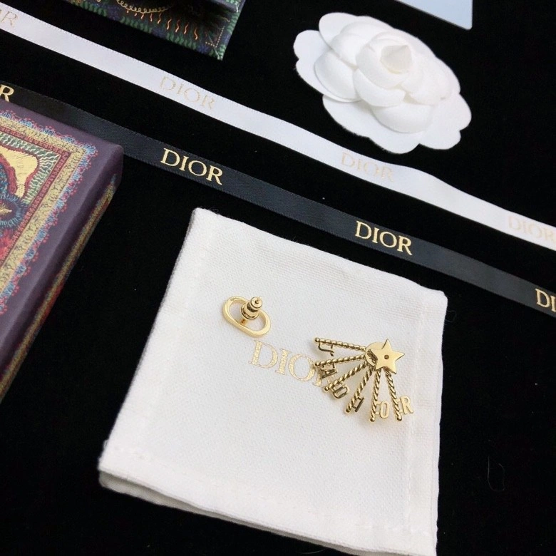 Christian Dior Earrings Fashionable 232631