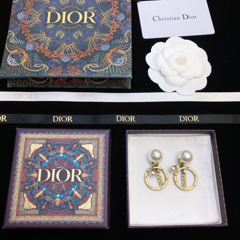 Christian Dior Earrings Modern 232652