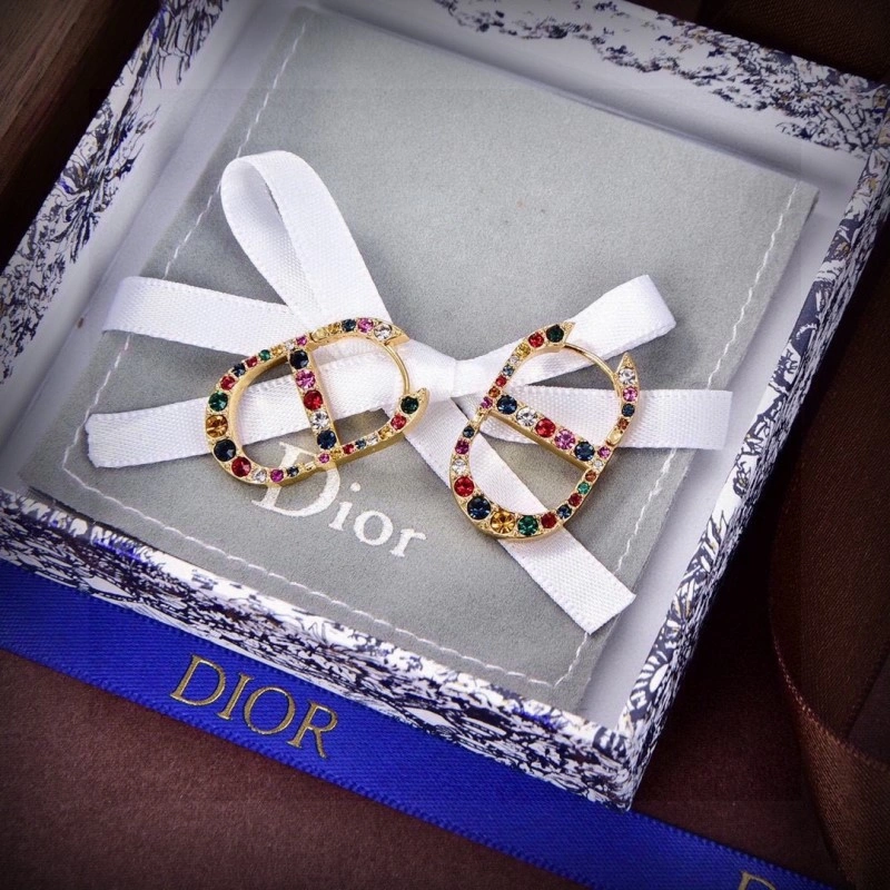 Christian Dior Earrings Affordable 232605