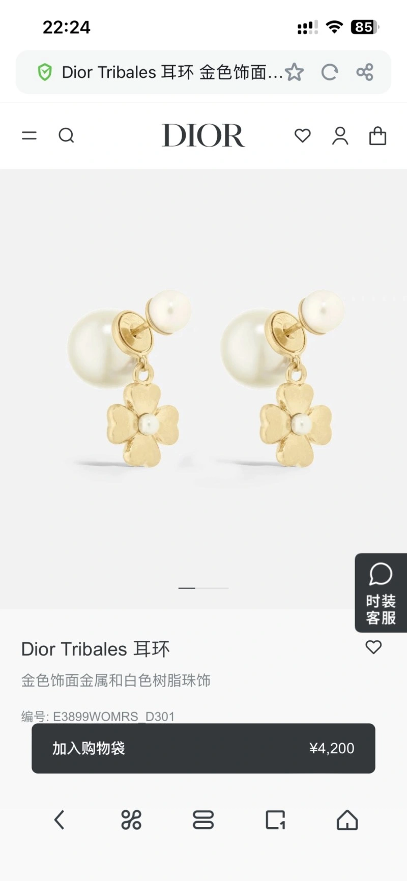 Christian Dior Earrings Packable 232633