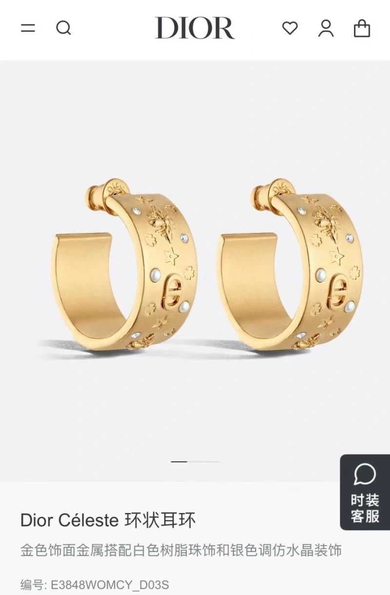Christian Dior Earrings Sleek 232634