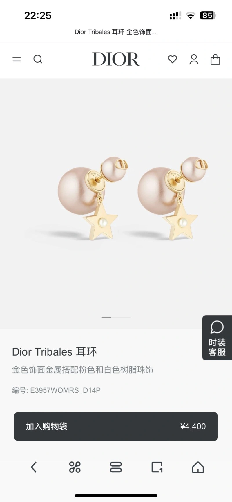 EasyMatch Christian Dior Earrings 232592
