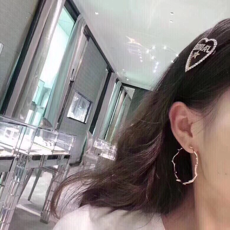 Christian Dior Hairpins Timeless 235987