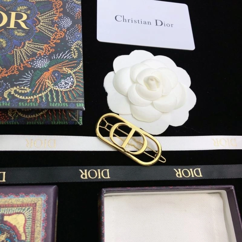 Christian Dior Hairpins Resilient 236281