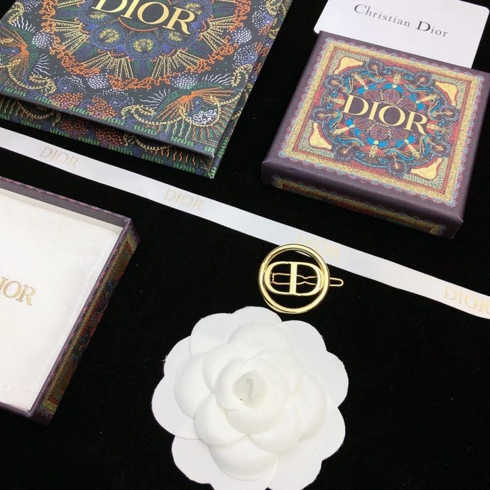 UrbanChic Christian Dior Hairpins 234843