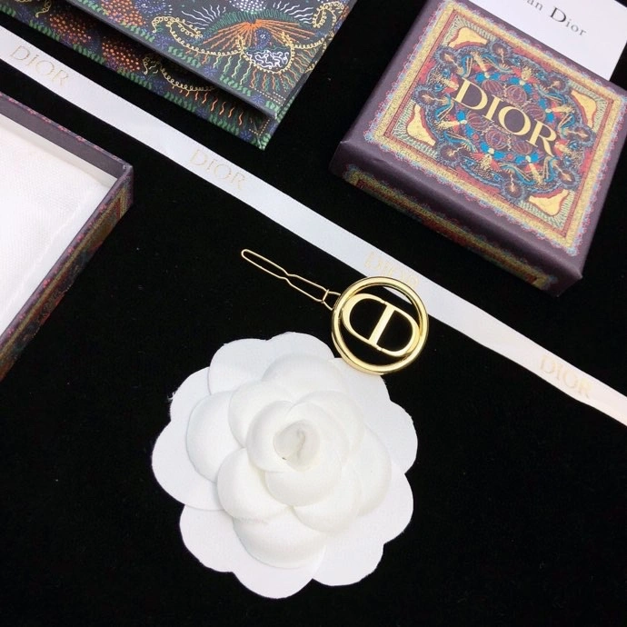 UrbanChic Christian Dior Hairpins 234843