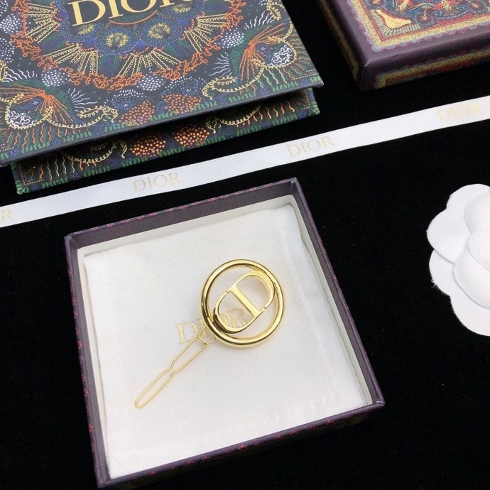 UrbanChic Christian Dior Hairpins 234843
