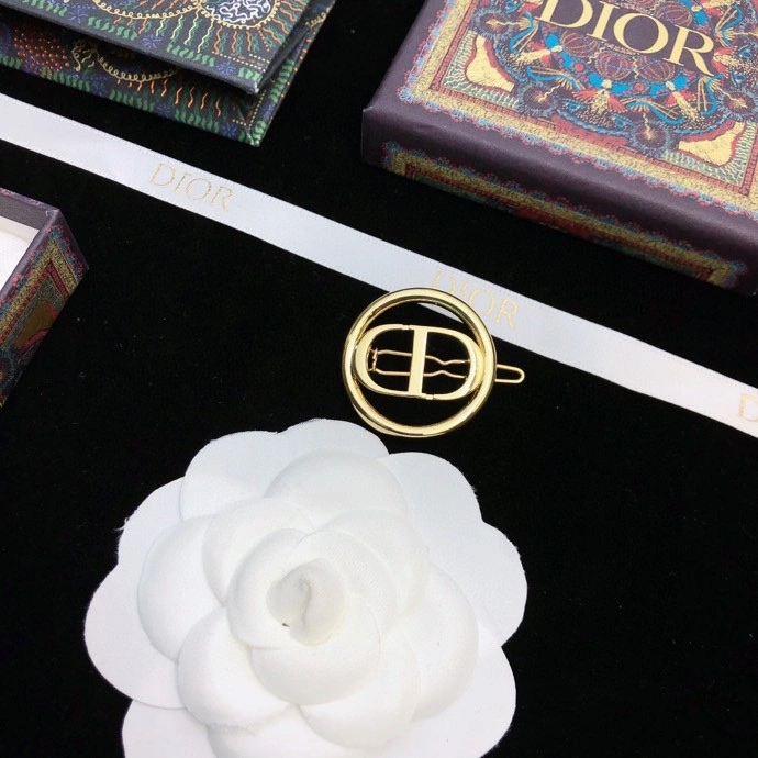 UrbanChic Christian Dior Hairpins 234843