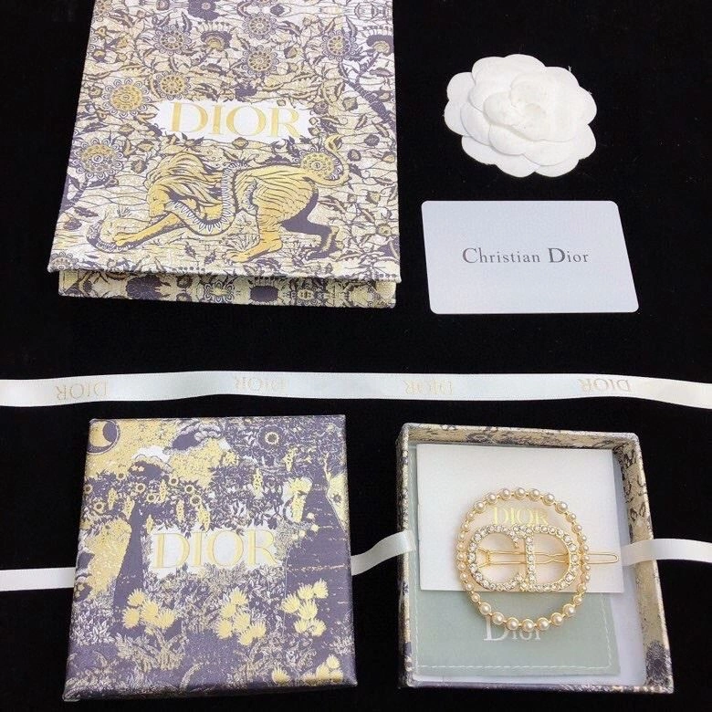 Christian Dior Hairpins Casual 234214