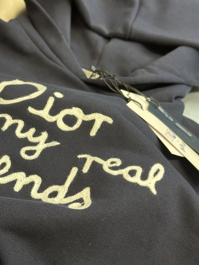 Seasonal Christian Dior Hoodies 117594