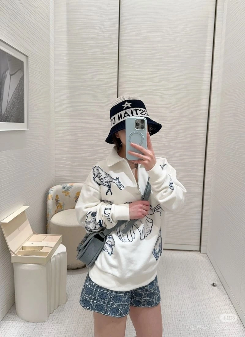 Effortless Christian Dior Hoodies 117598