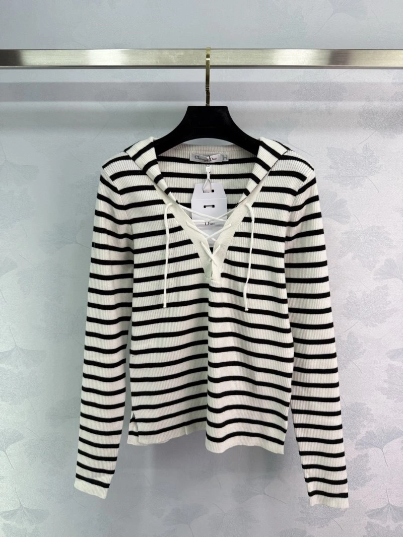 Casual Christian Dior Hoodies 113040