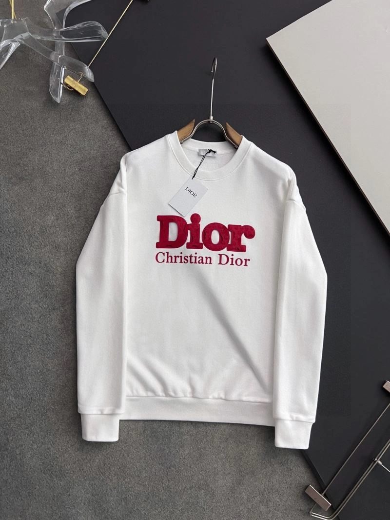 Reliable Christian Dior Hoodies 116306