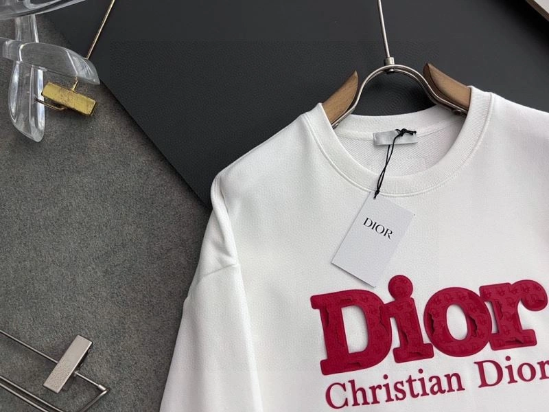 Reliable Christian Dior Hoodies 116306