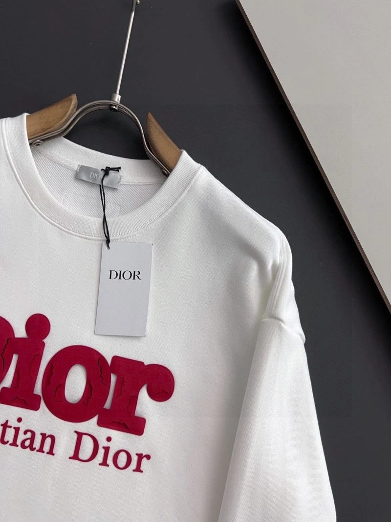 Reliable Christian Dior Hoodies 116306