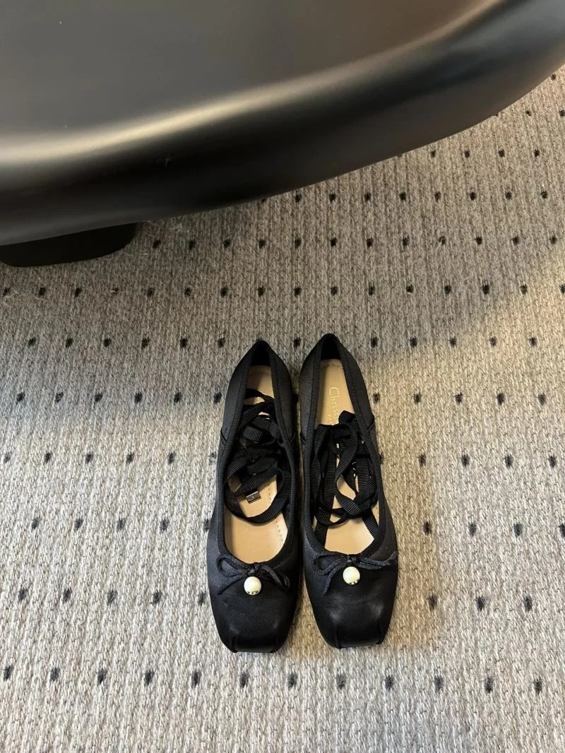 Neat Christian Dior Low Shoes 21163
