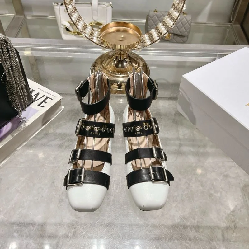 Trendsetting Christian Dior Low Shoes 22040