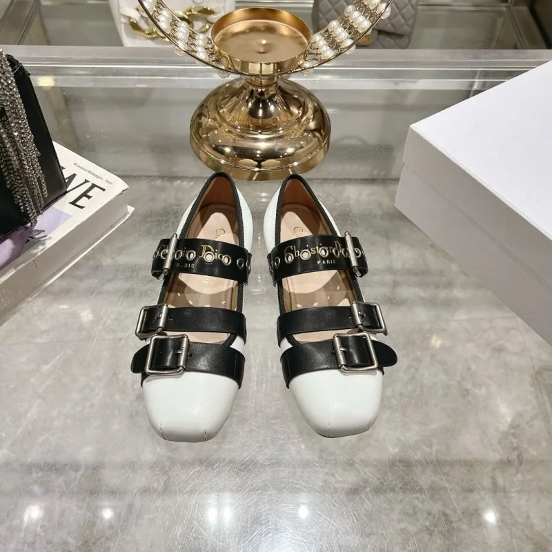 Classic Christian Dior Low Shoes 22045