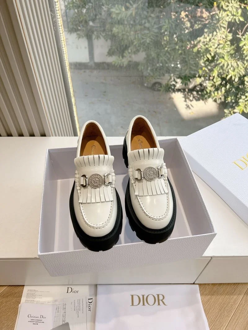 Thermal Christian Dior Low Shoes 21555