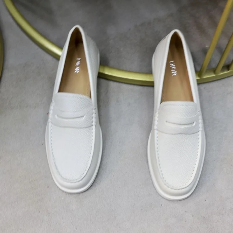 ModernLook Christian Dior Low Shoes 22309