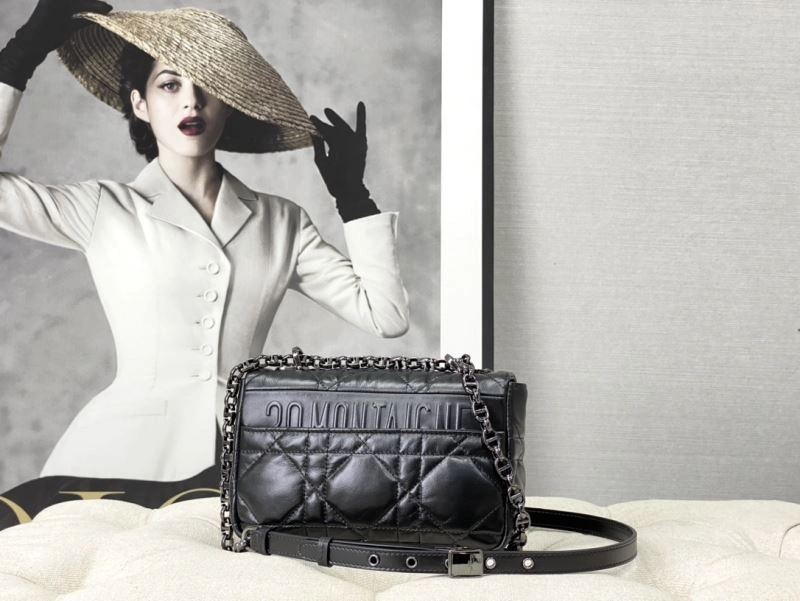 Contemporary Christian Dior Montaigne Bags 76592
