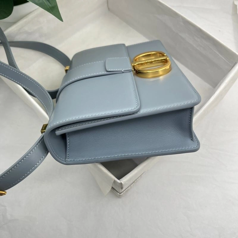Sustainable Christian Dior Montaigne Bags 76573