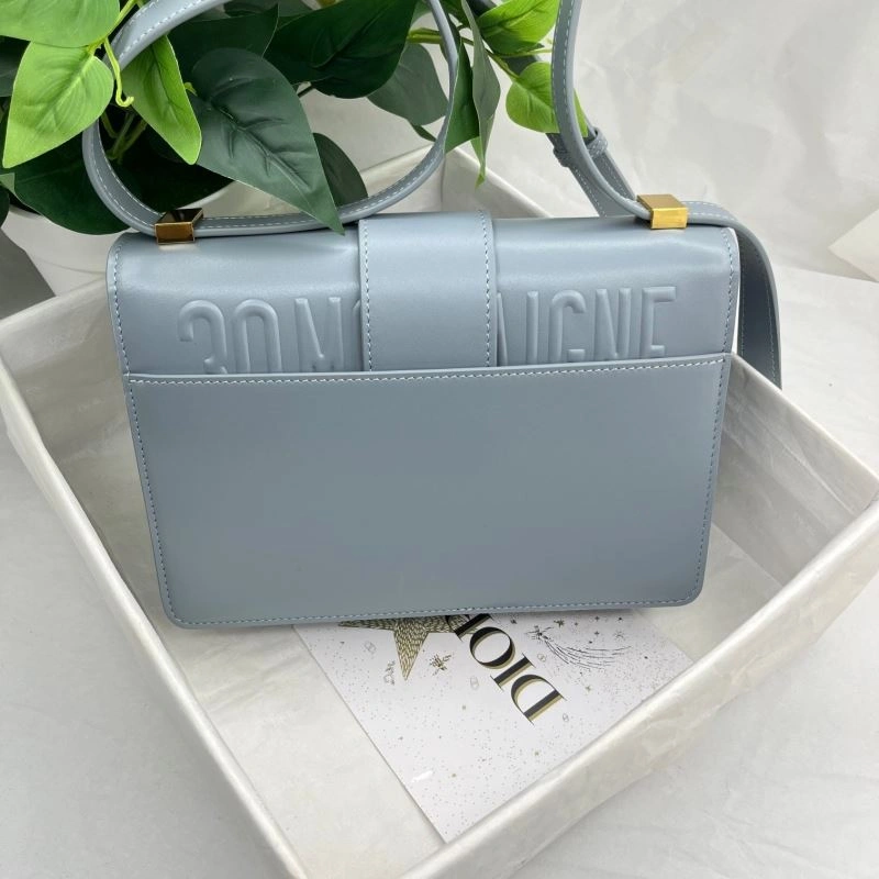 Sustainable Christian Dior Montaigne Bags 76573