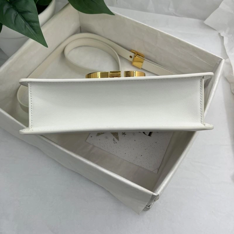 Christian Dior Montaigne Bags WrinkleFree 76562