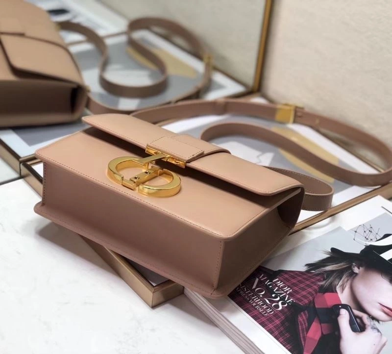 TravelReady Christian Dior Montaigne Bags 76115