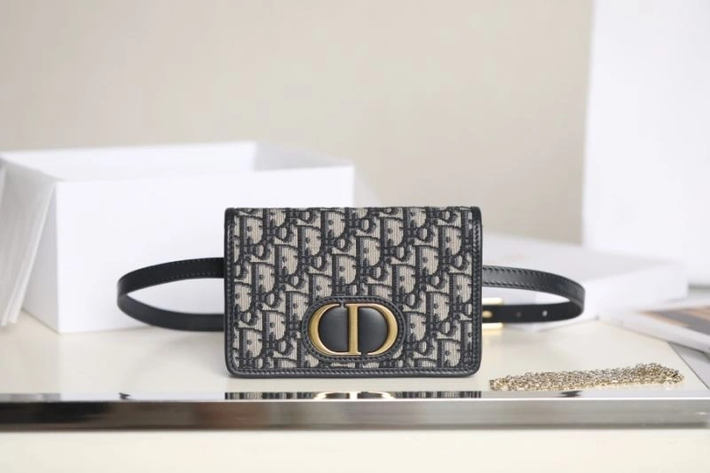 TravelReady Christian Dior Montaigne Bags 71137