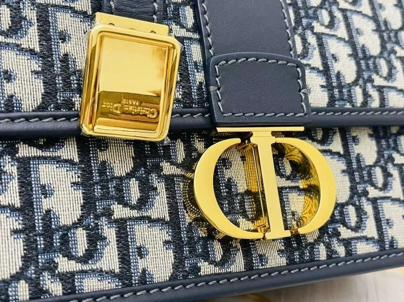 EasyCare Christian Dior Montaigne Bags 46429