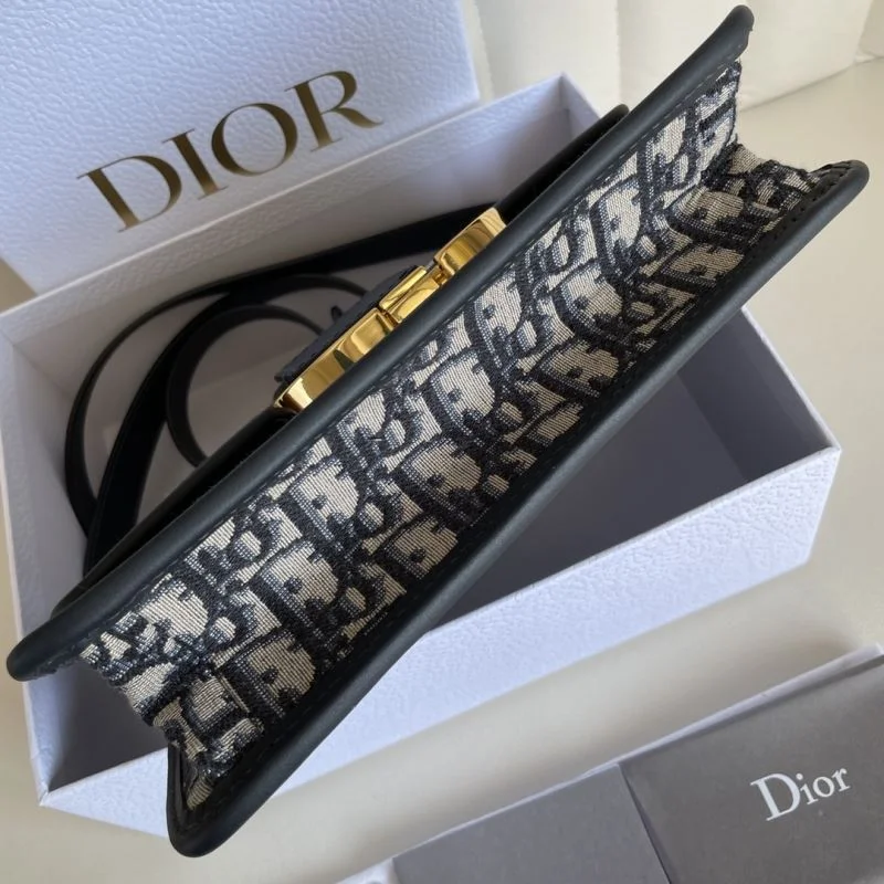 Christian Dior Montaigne Bags Resilient 46455