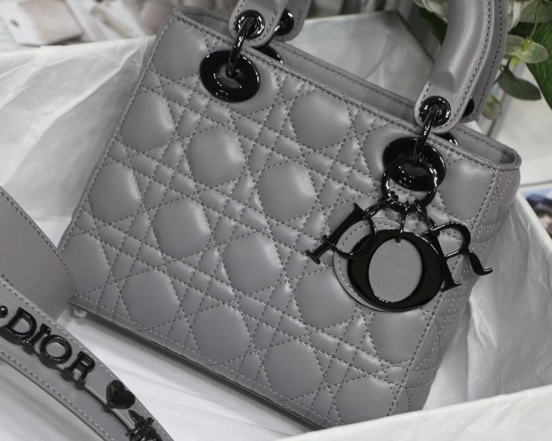 Unique Christian Dior My Lady Bags 76353