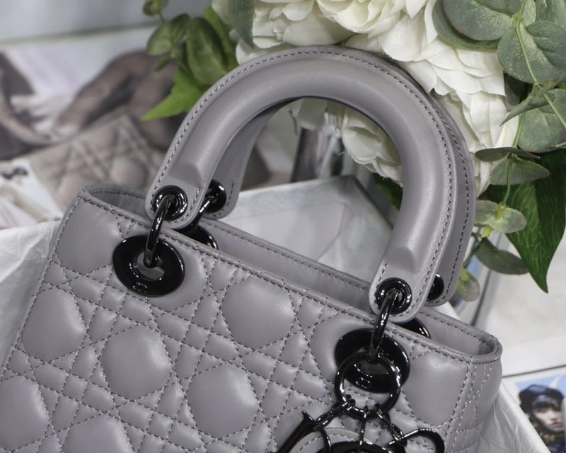 Unique Christian Dior My Lady Bags 76353