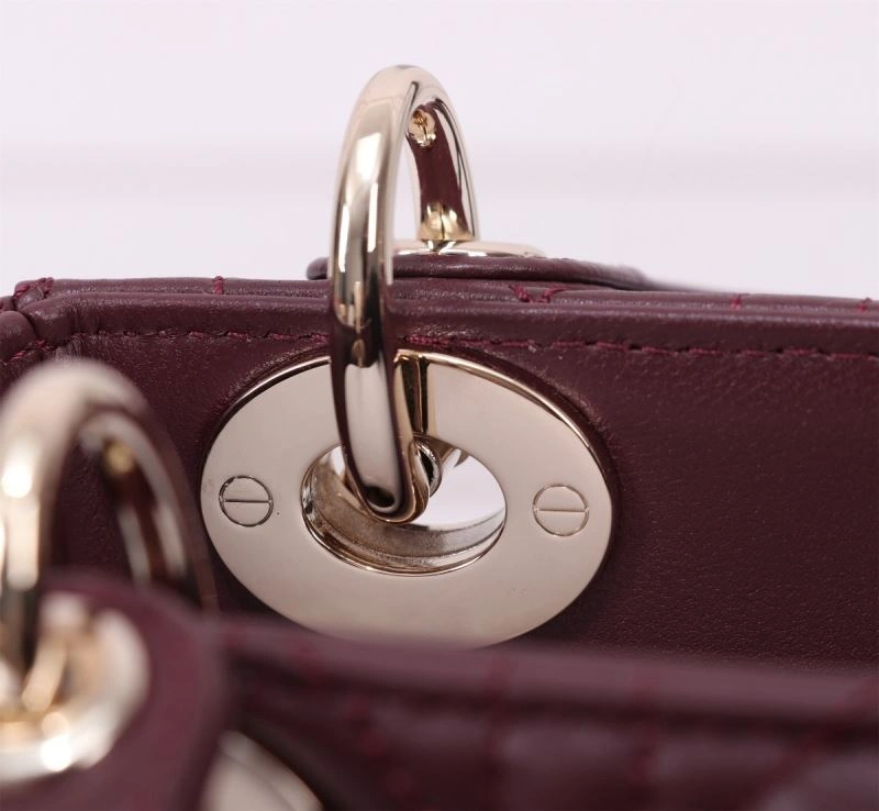 EyeCatching Christian Dior My Lady Bags 75946