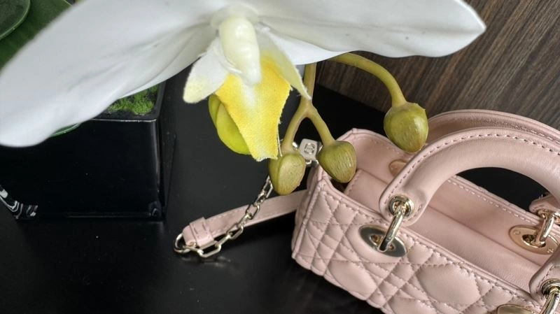 Classic Christian Dior My Lady Bags 70903