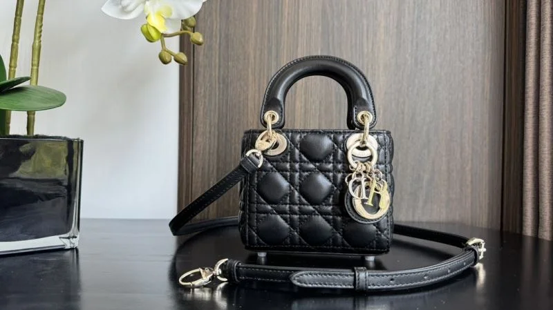 Resilient Christian Dior My Lady Bags 37703