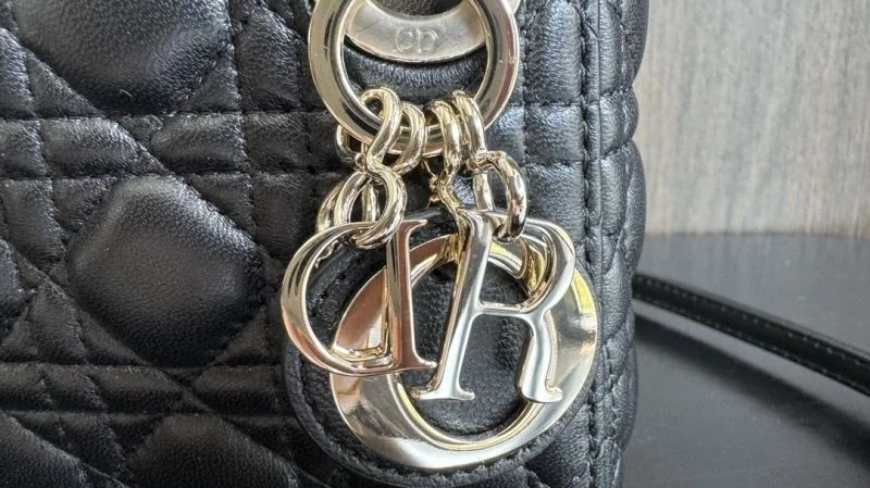 Resilient Christian Dior My Lady Bags 37703