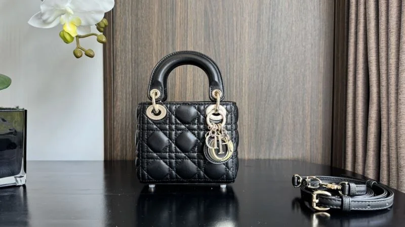 Resilient Christian Dior My Lady Bags 37703